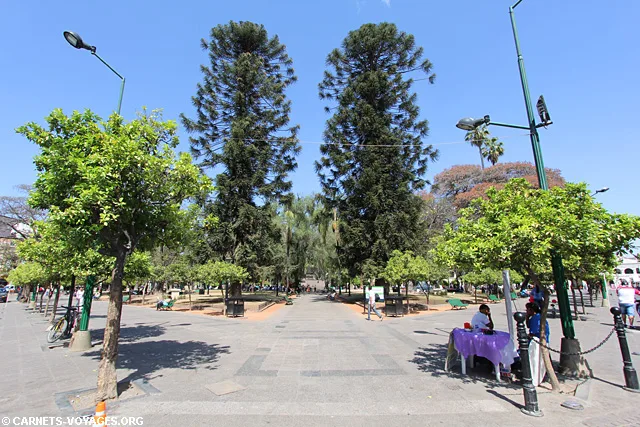 Salta Argentine