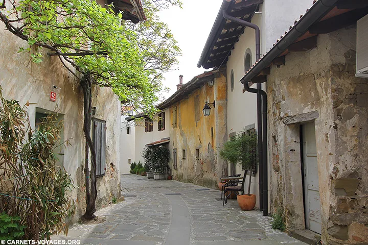 Visiter village Smartno Slovénie