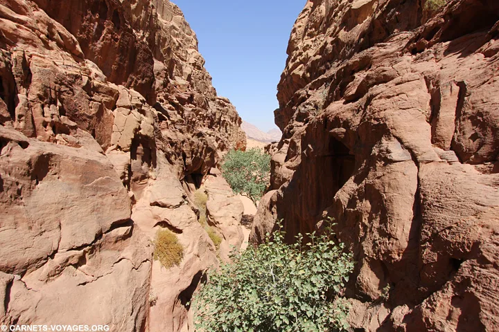Désert Wadi Rum Jordanie