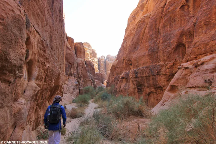 Mon guide omar en Jordanie