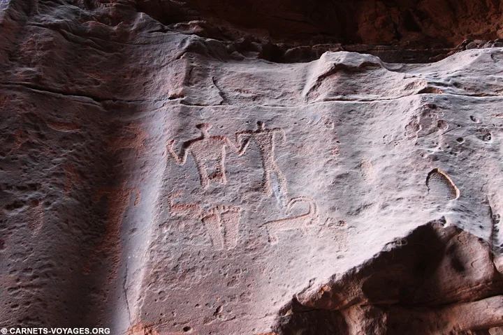 Visite Wadi Rum