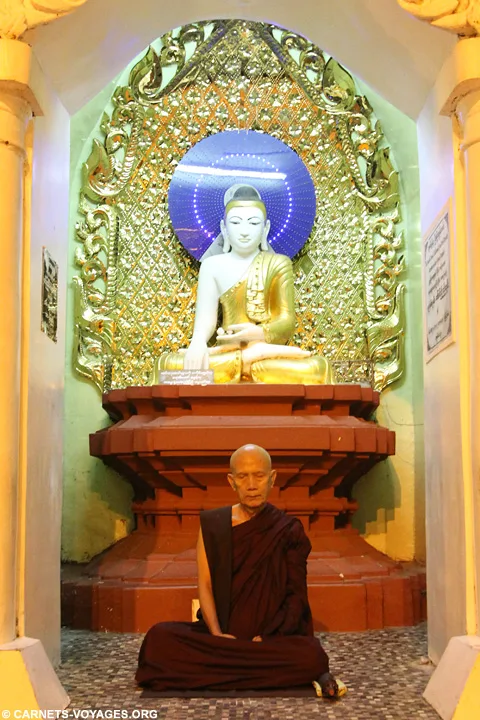 Moine pagode Shwedagon Yangon Birmanie