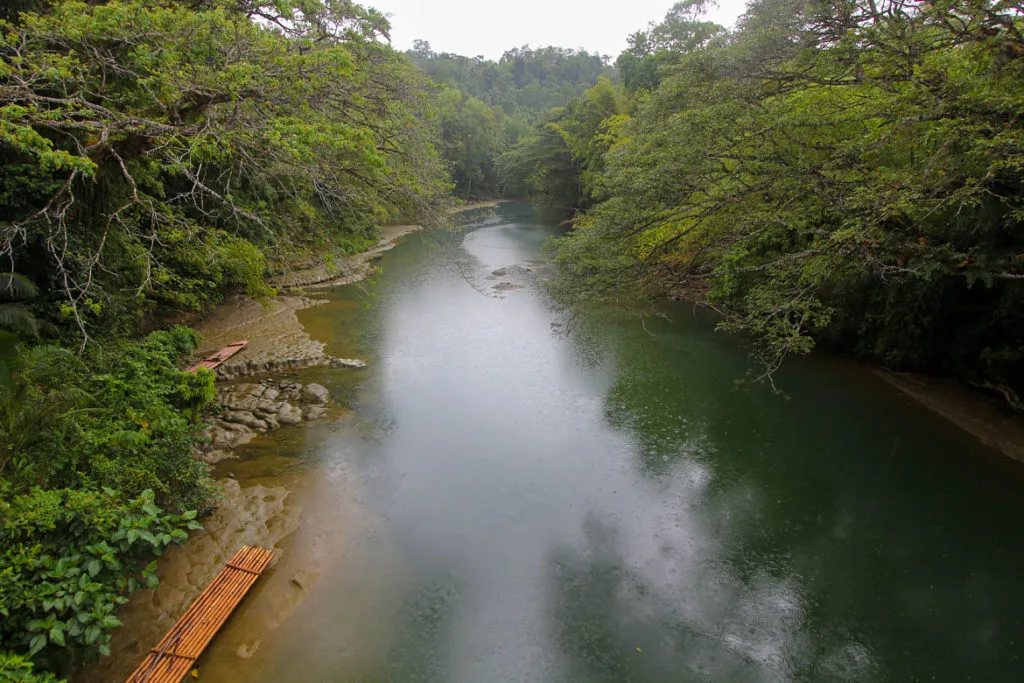 Bohol pont bambou riviere loboc