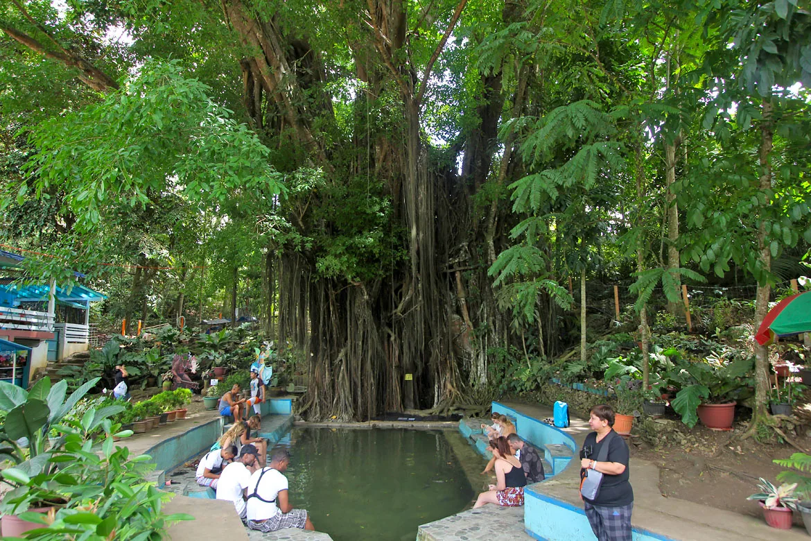 Siquijor Banyan Tree Balete