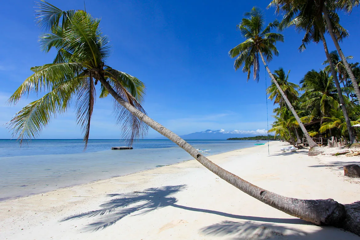 Siquijor Coral Cay Beach