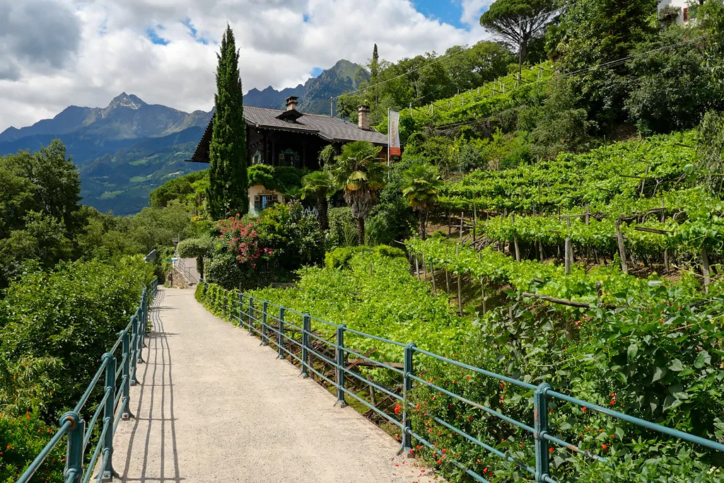 Promenade Tappeiner Weg à Merano Italie