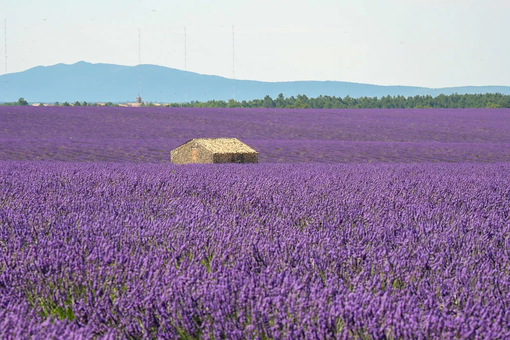 Maison en pierre champs de lavade Valensole