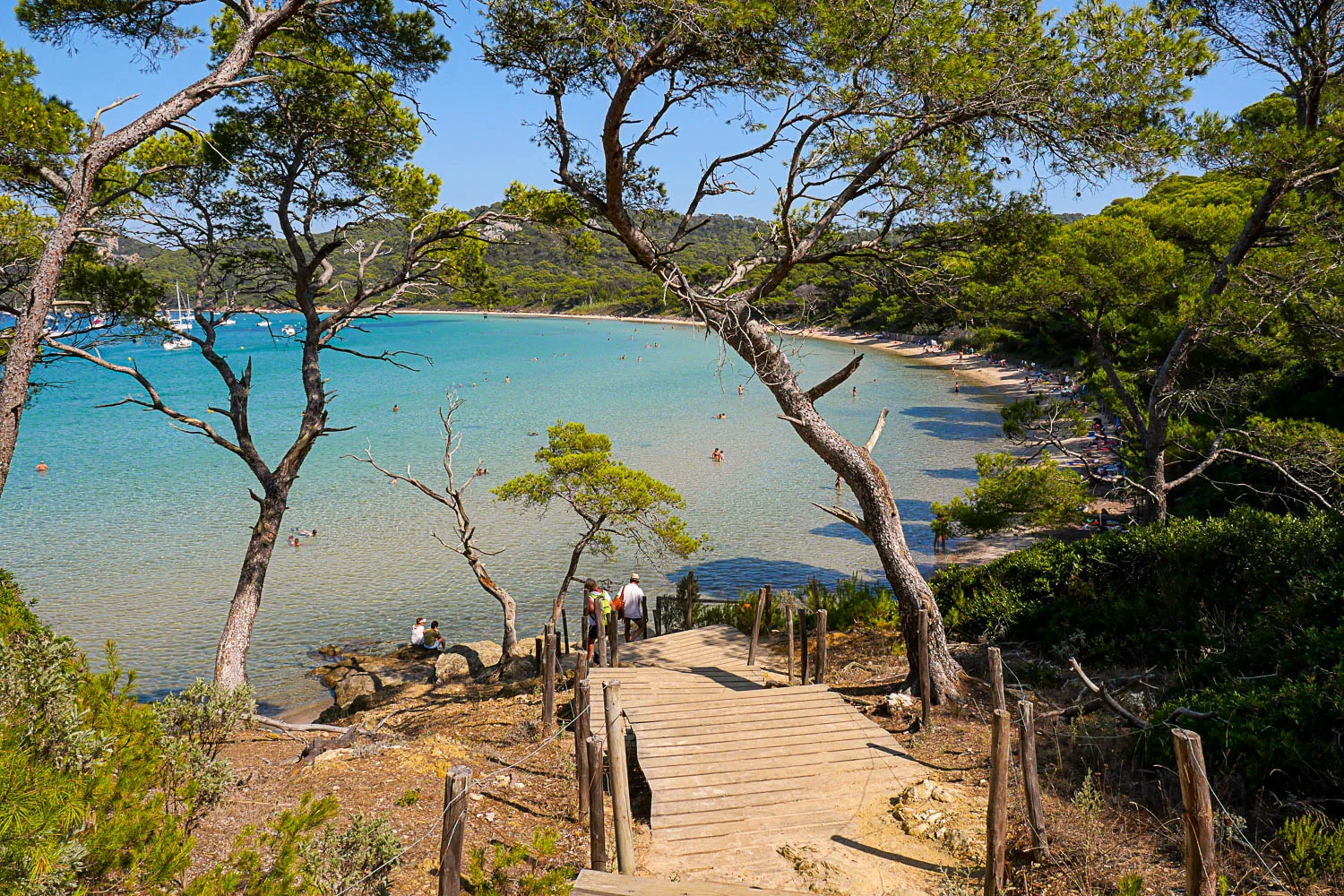 Plage Notre Dame île de Porquerolles Var Côte d'Azur France