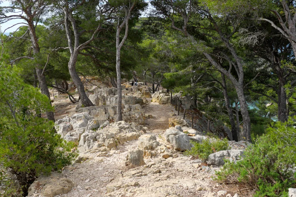 Sentier randonnée calanque port pin marseille cassis