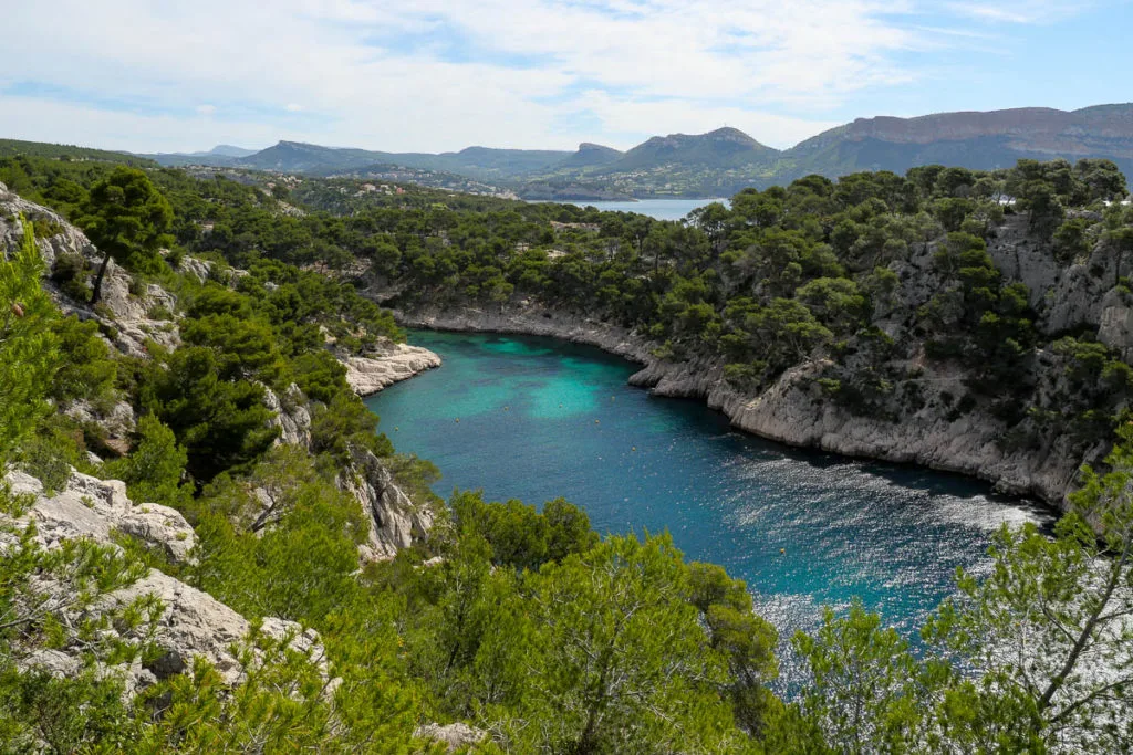 Calanque port pin cassis marseille