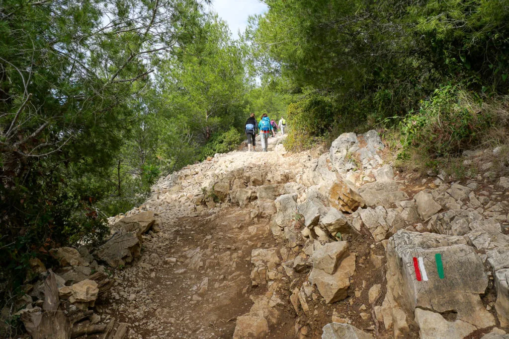 Sentier randonnée calanque port pin marseille cassis