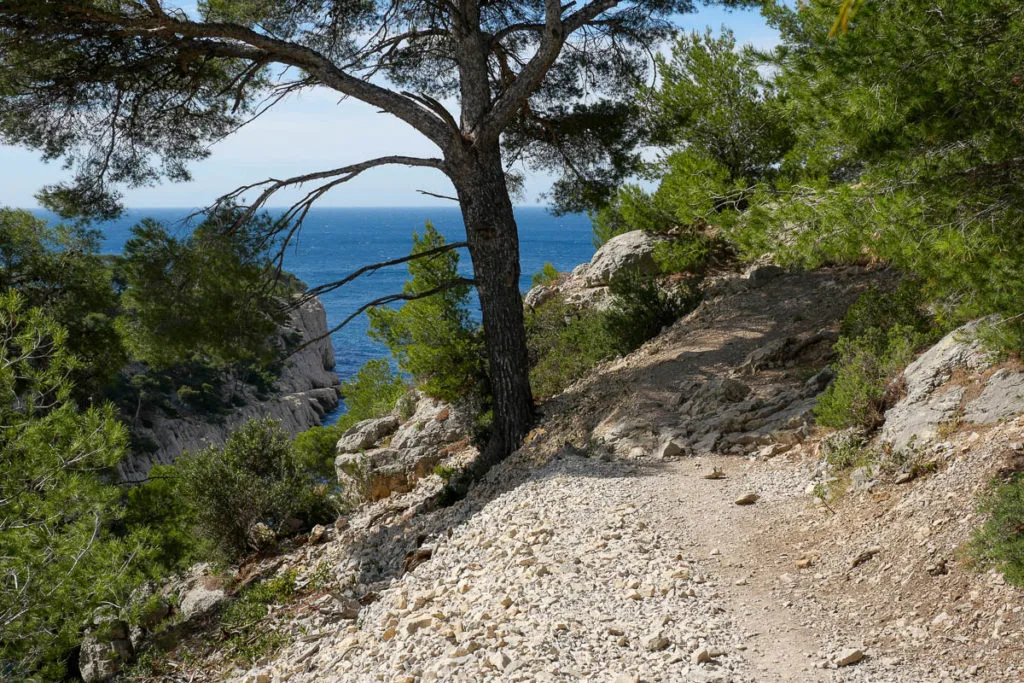Sentier randonnée calanque d'en-vau marseille cassis