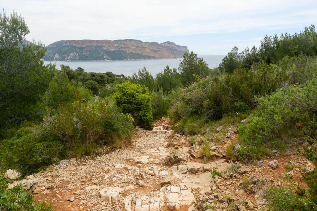 Sentier randonnée calanque d'en-vau par la piste intérieure vue cap canaille marseille cassis