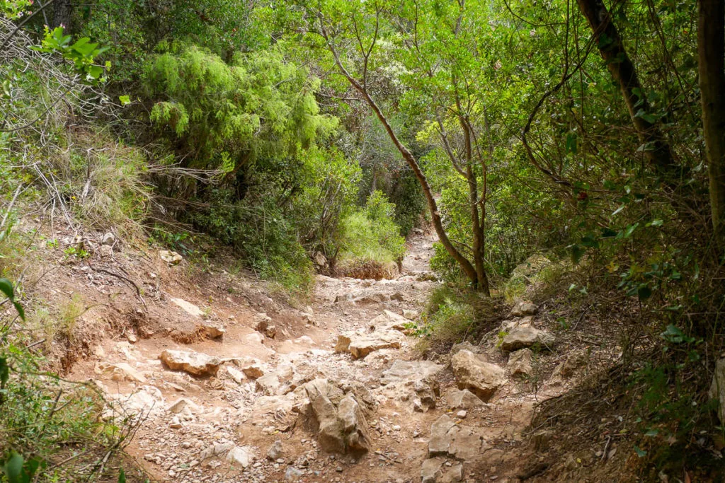 Sentier randonnée calanque d'en-vau par la piste intérieure marseille cassis