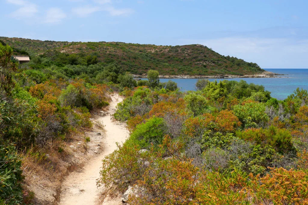 Sentier du littoral entre les plages du Lotu et de Saleccia désert des Agriates Corse