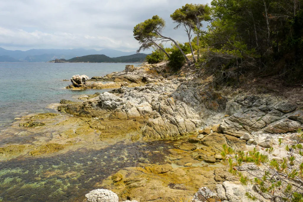 Sentier du littoral entre les plages du Lotu et de Saleccia désert des Agriates Corse