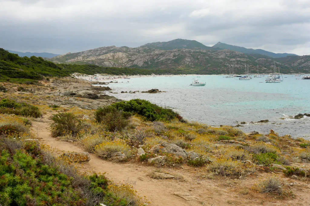Sentier du littoral entre les plages du Lotu et de Saleccia désert des Agriates Corse