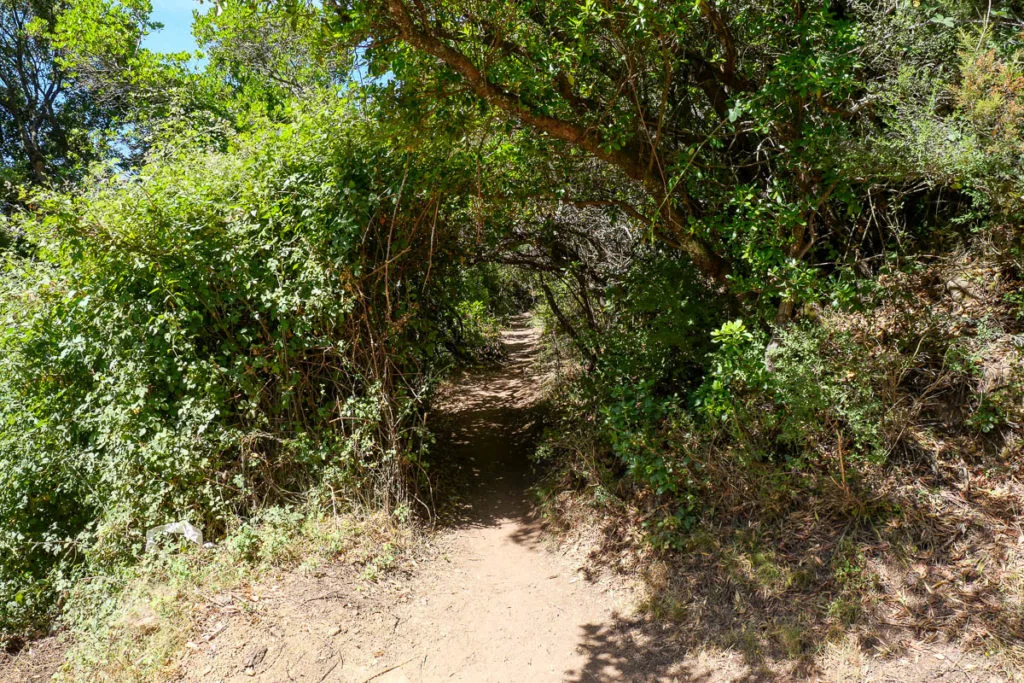 Point de départ sentier randonnée vers les cascades de Purcaraccia en Corse