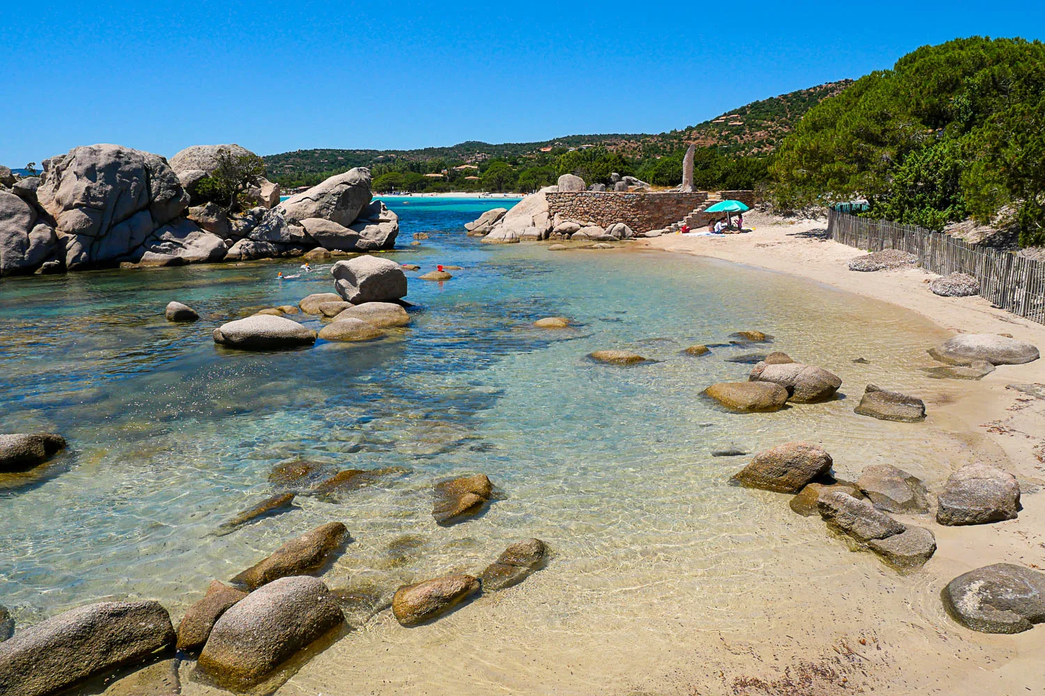 Plage de Tamaricciu en Corse avec pin parasol coupé Porto-Vecchio