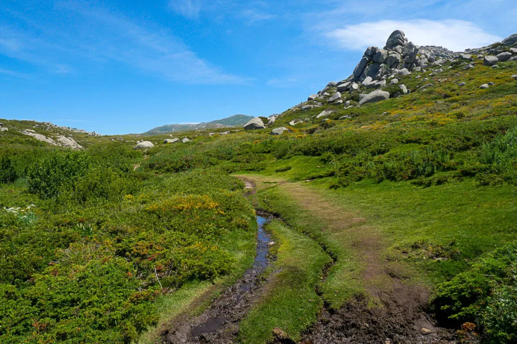Randonnée sur le plateau de Coscione en Corse pozzines