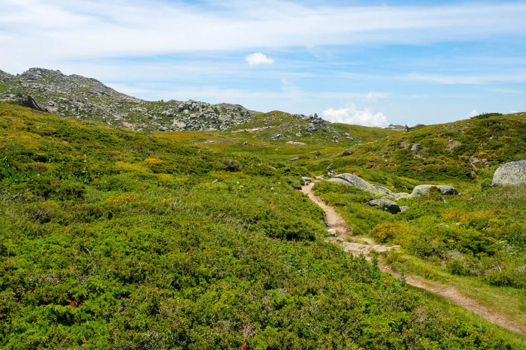 Sentier randonnée de l'eau sur le plateau de Coscione en Corse