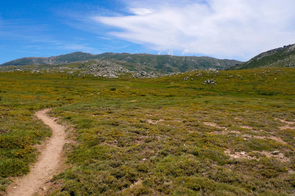 Sentier randonnée de l'eau sur le plateau de Coscione en Corse