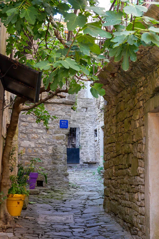 Grožnjan village cobbled street what to do in Istria Croatia