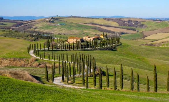 Que faire en Toscane Italie : campagne cyprès virage allée