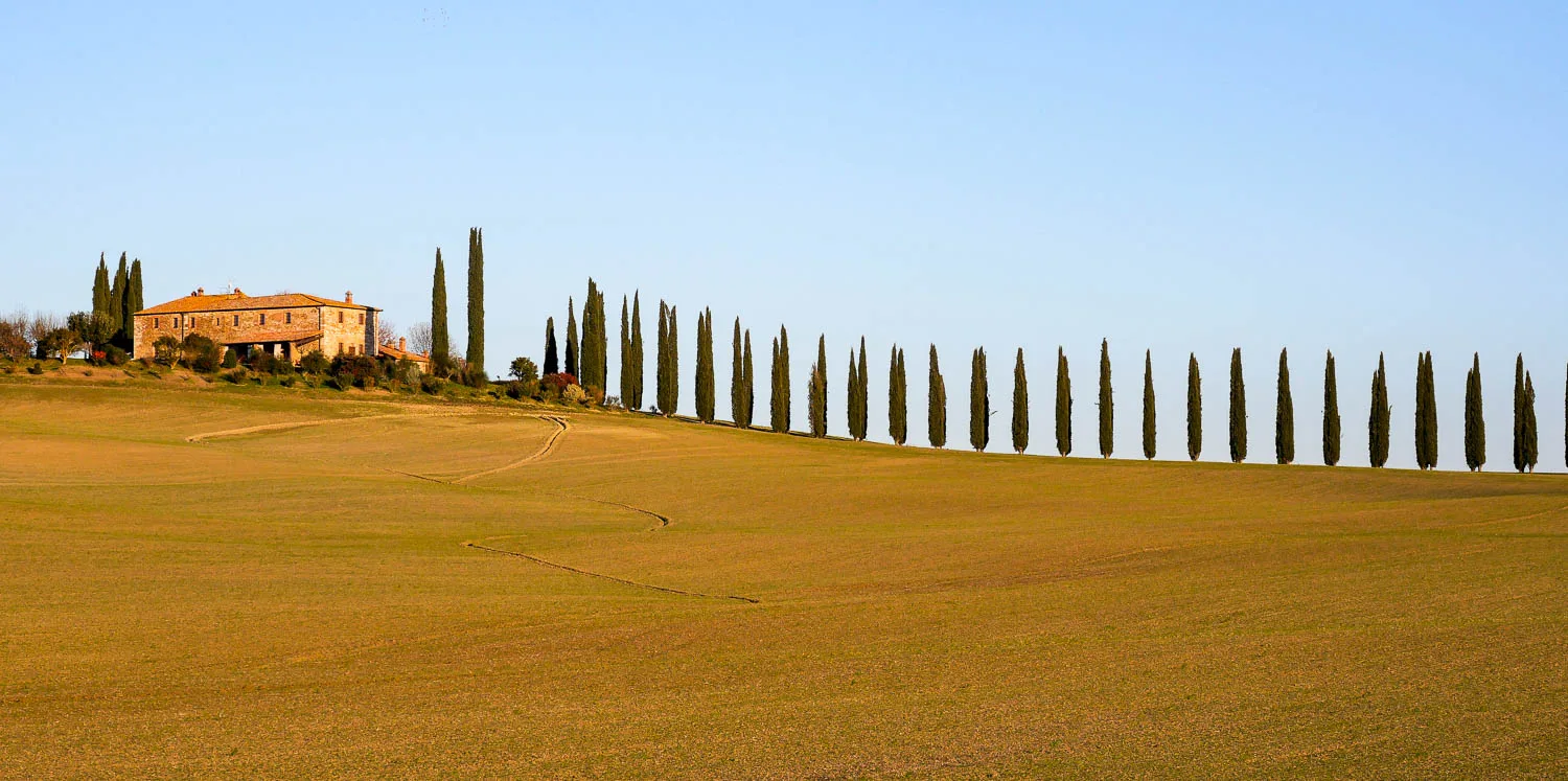tuscany cypress road val d'orcia italy
