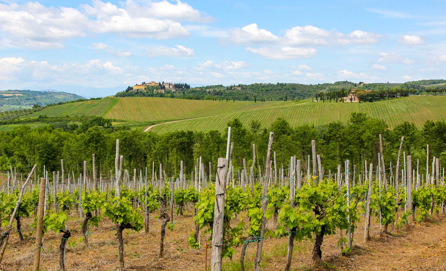 Visiting the Chianti vineyards in Tuscany Italy