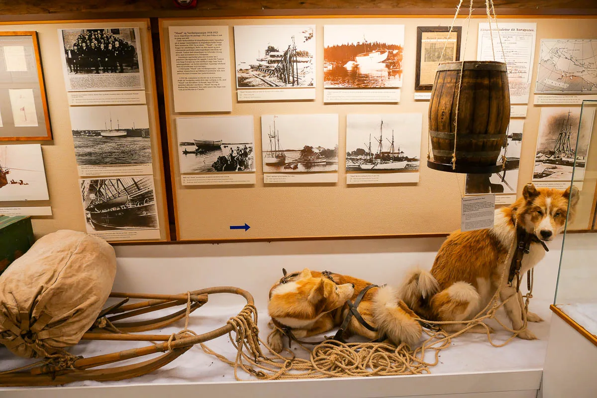Musée polaire (Polarmuseet) Tromso Norvège chien de traineau