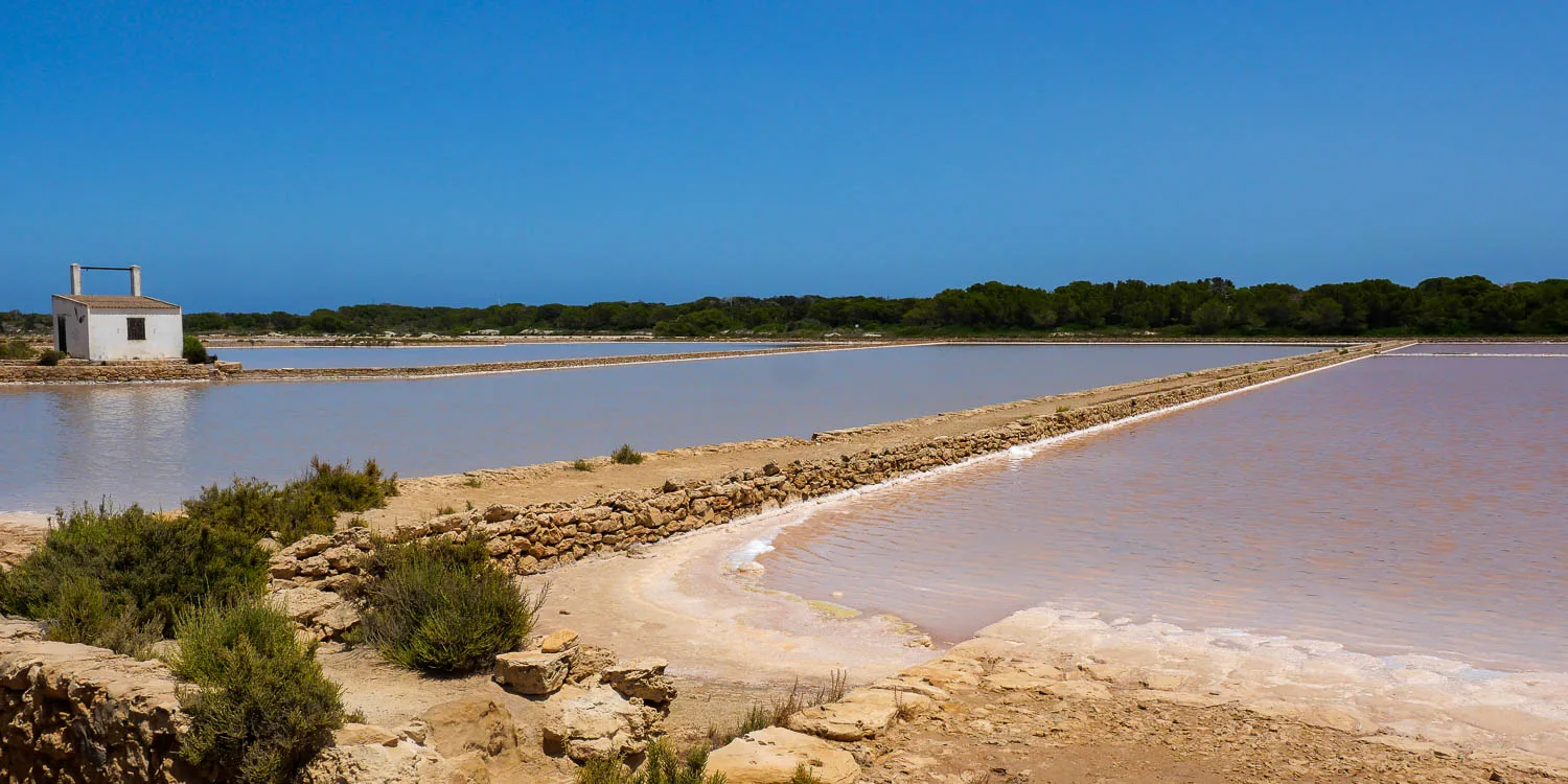 marais salants ses salines formentera espagne
