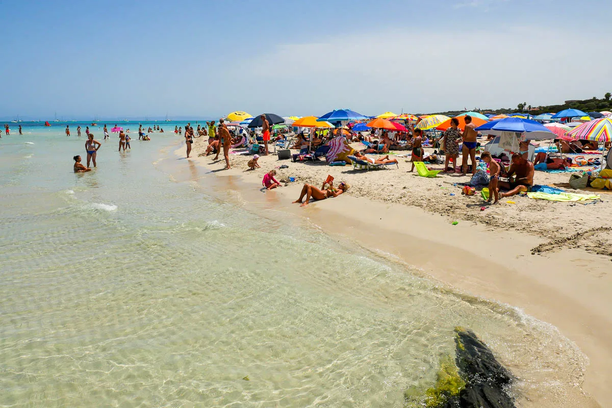 Stintino plage la pelosa sardaigne italie