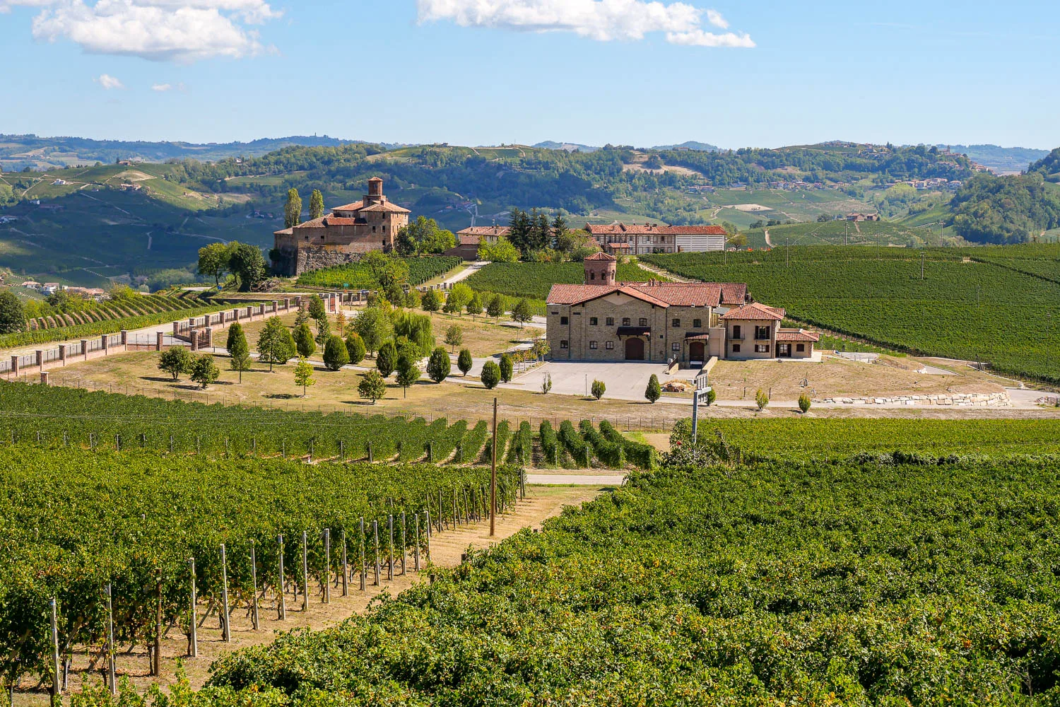 Que faire dans les Langhe région Piémont Italie vignobles La Morra
