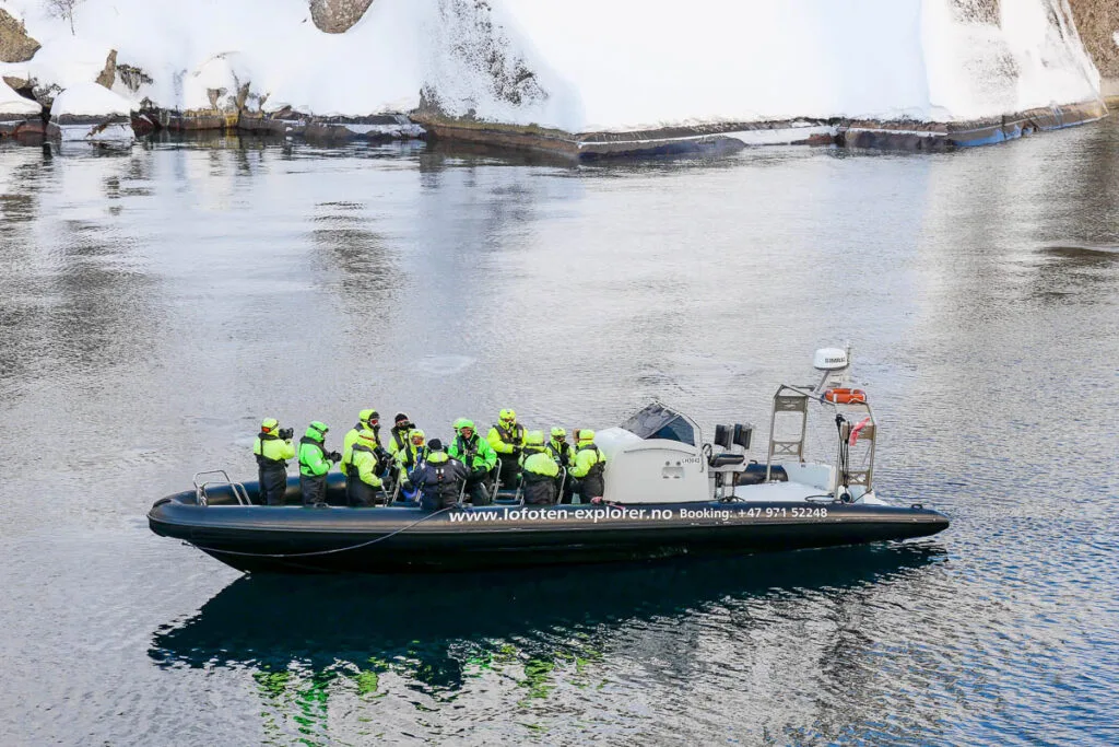 Svolvaer Trollfjord excursion zodiac observation pygargues à queue blanche