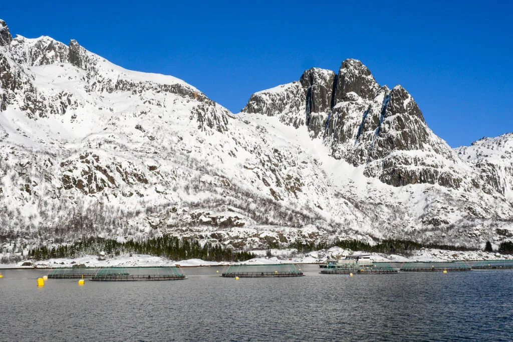 Croisière Trollfjord Lofoten ferme saumon élevage