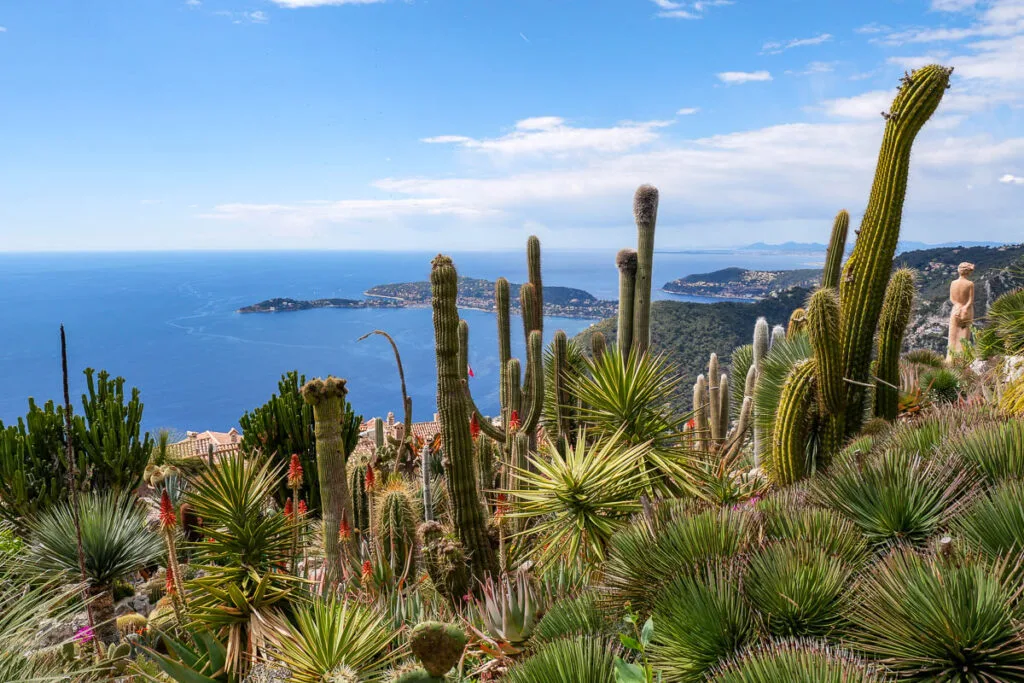 Jardin exotique Eze France plantes grasses cactus