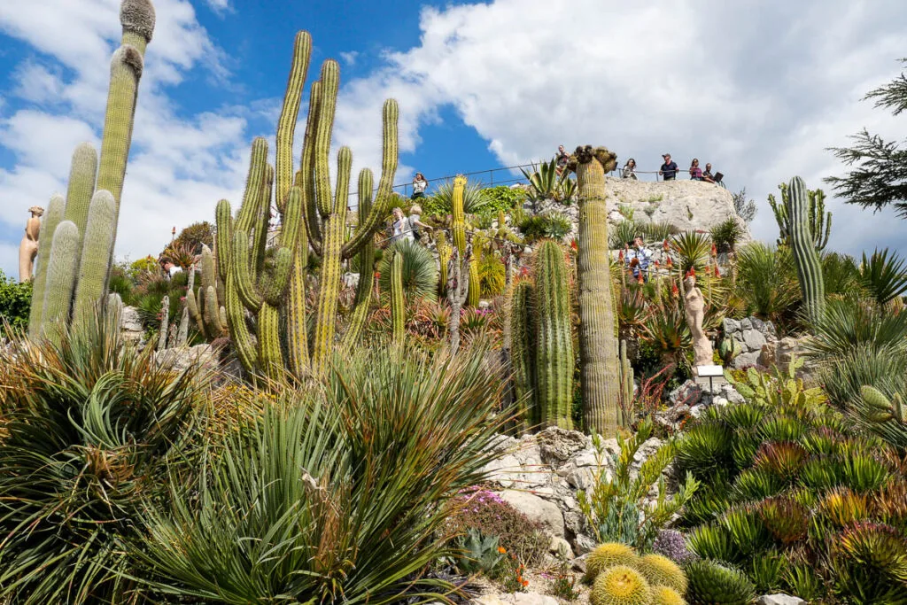 Jardin exotique cactées Eze France