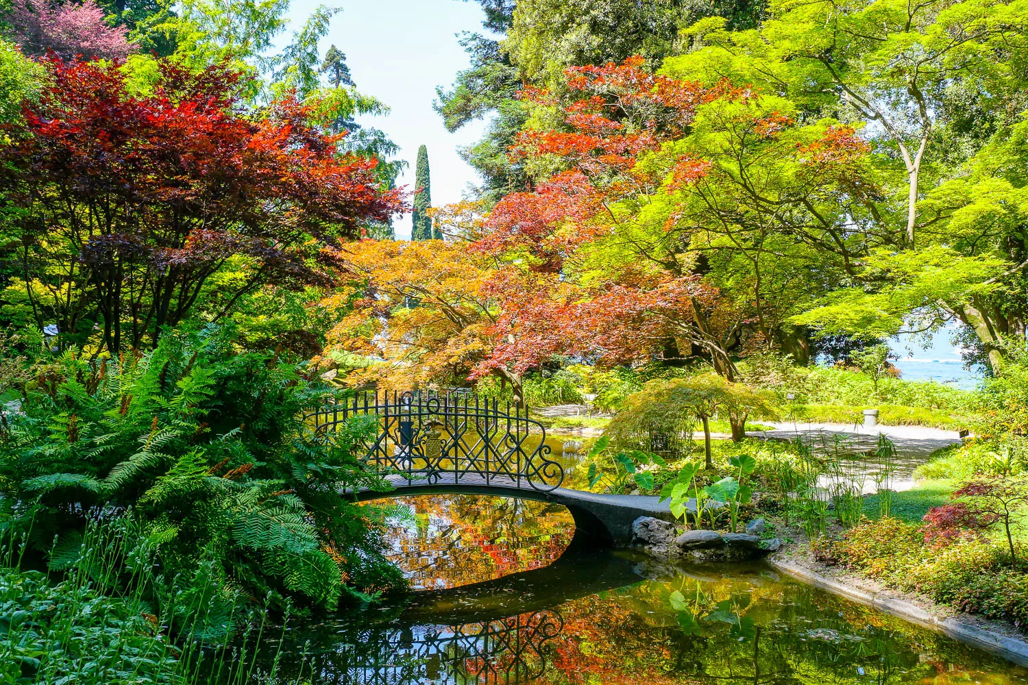 Japanese garden Villa Melzi what to do in Bellagio Italy