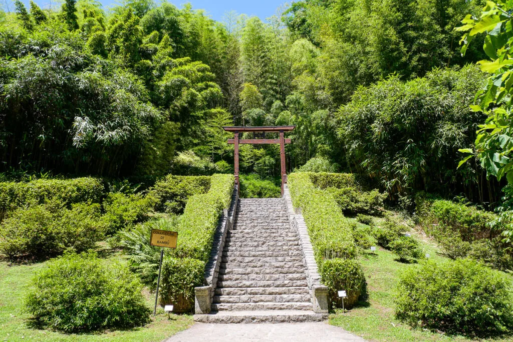 Bamboo grove Villa Carlotta garden