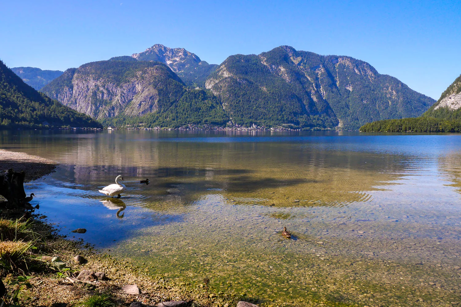plage lac hallstatt baignade autriche