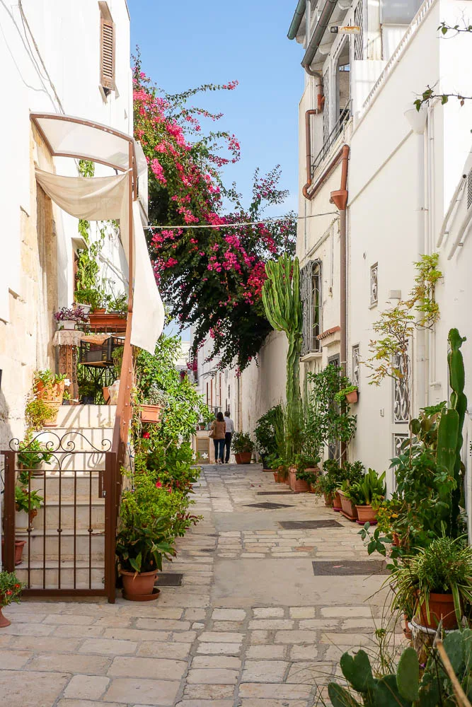 Que faire à Polignano a Mare Italie rue centre historique vieille ville