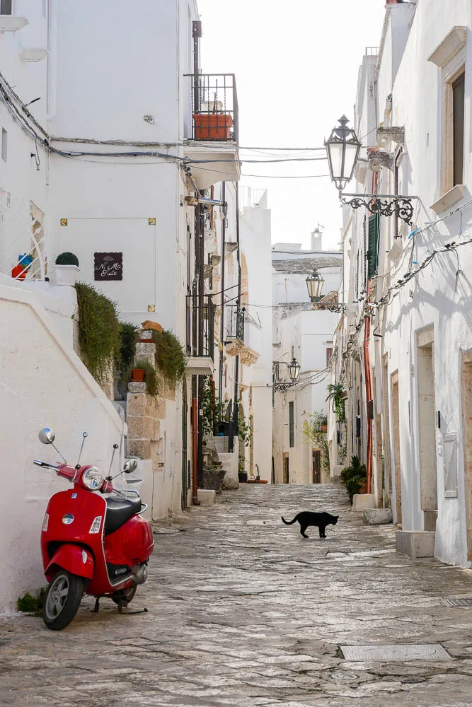 Historic center street old town Vespa cat Ostuni Puglia Italy