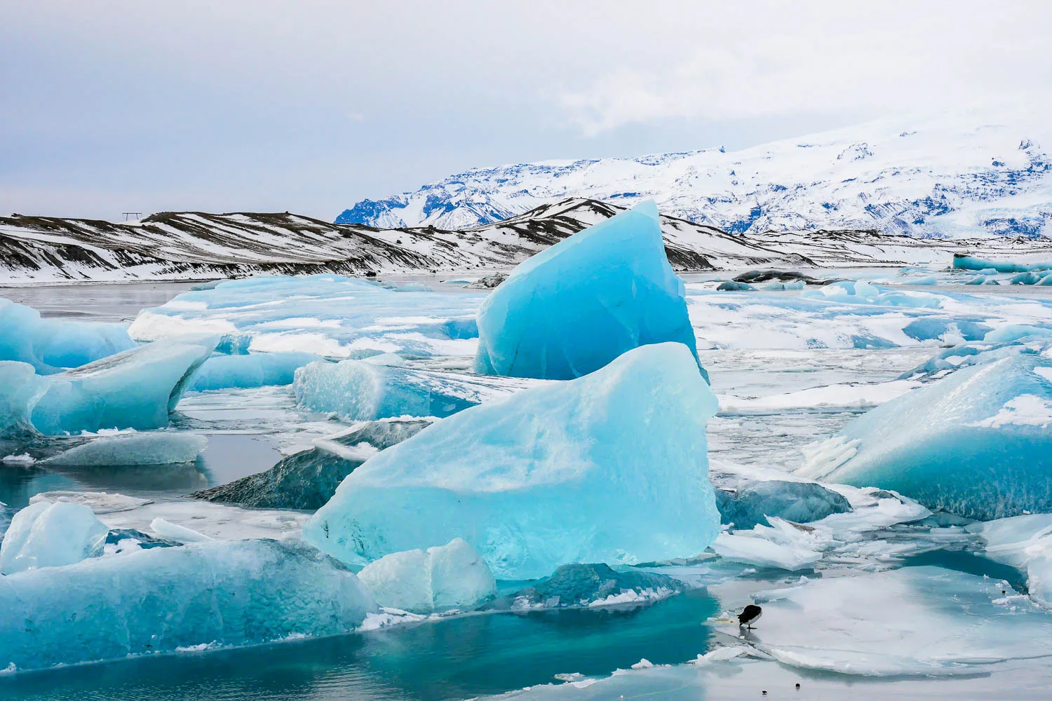 Lagune de Jökulsárlón en hiver Islande iceberg