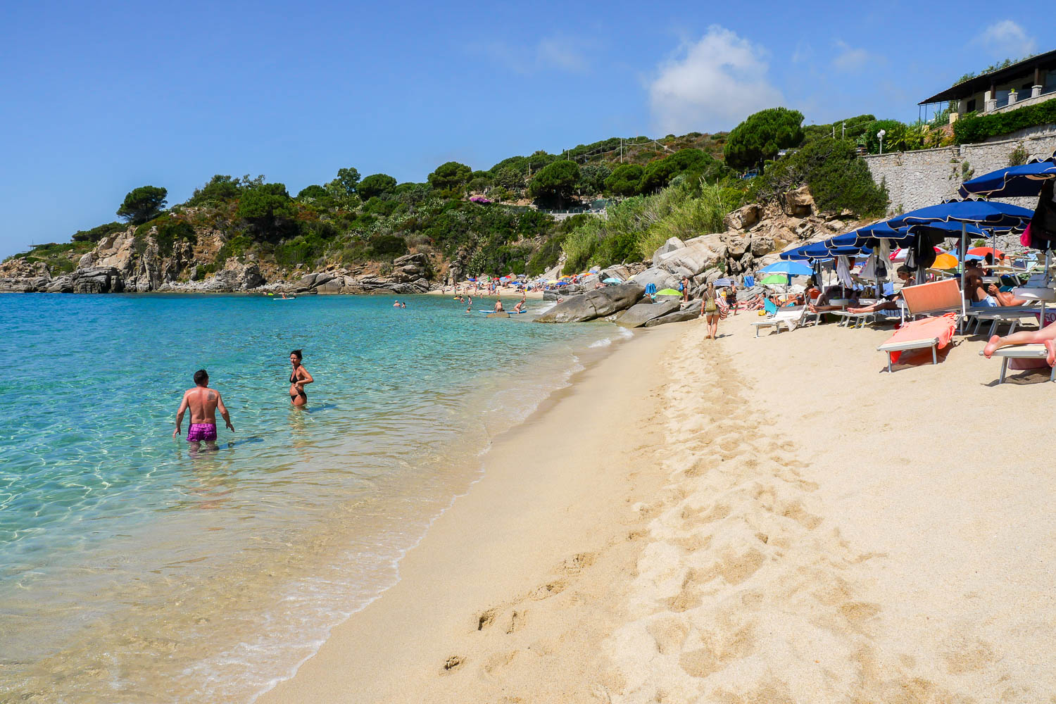 Spiaggia di Cavoli plus belle plage de l'île d'Elbe Toscane Italie