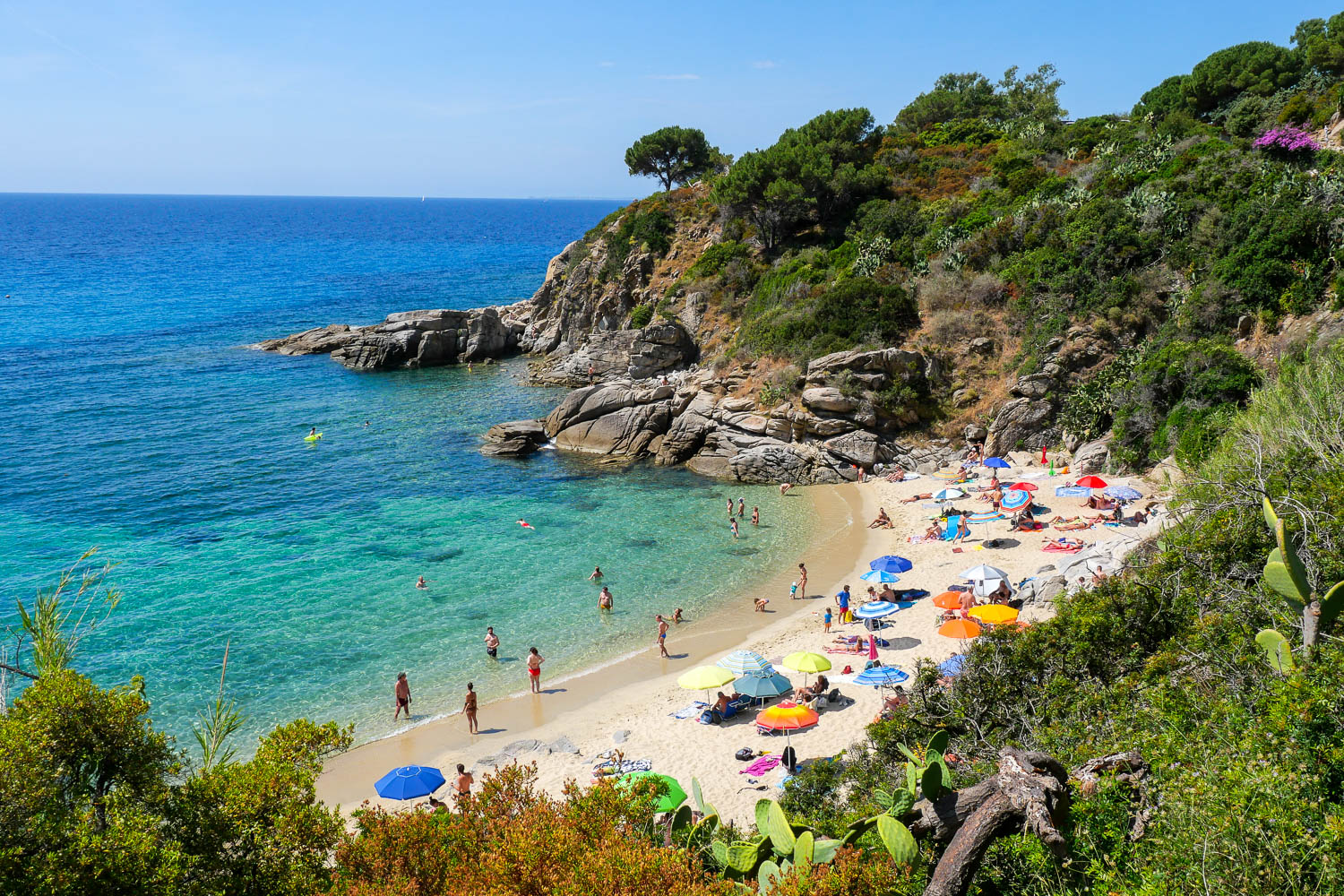 Spiaggia di Cavoli plus belle plage de l'île d'Elbe Toscane Italie