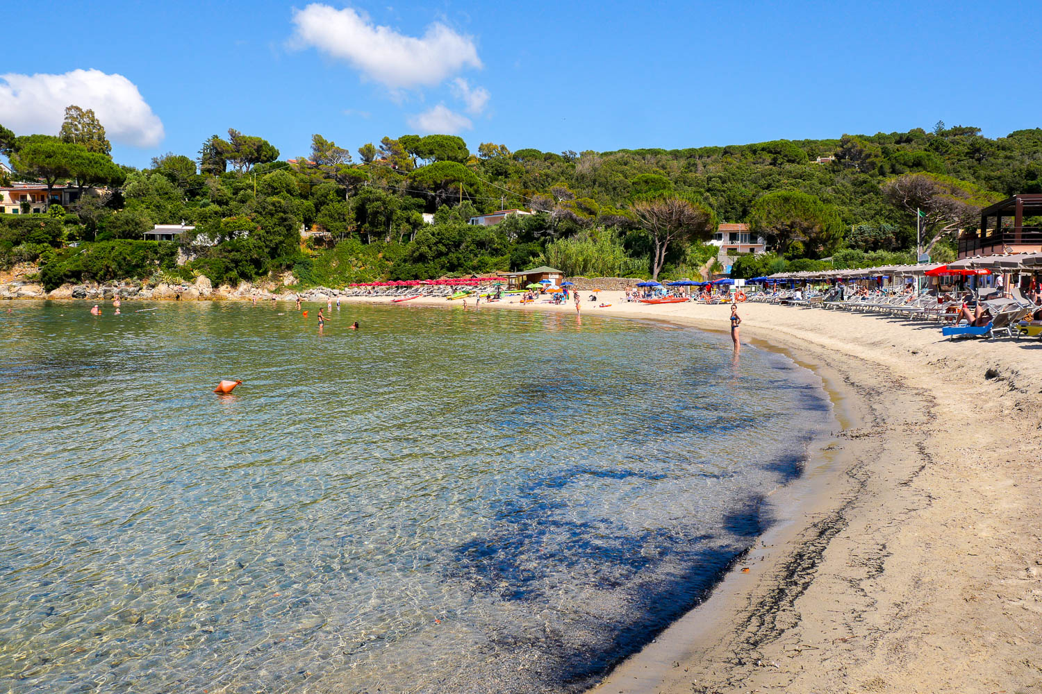 Spiaggia di Spartaia plage ile d'elbe italie